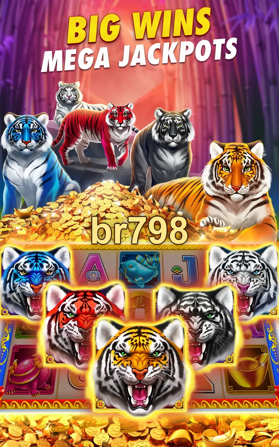 br798 Baixar